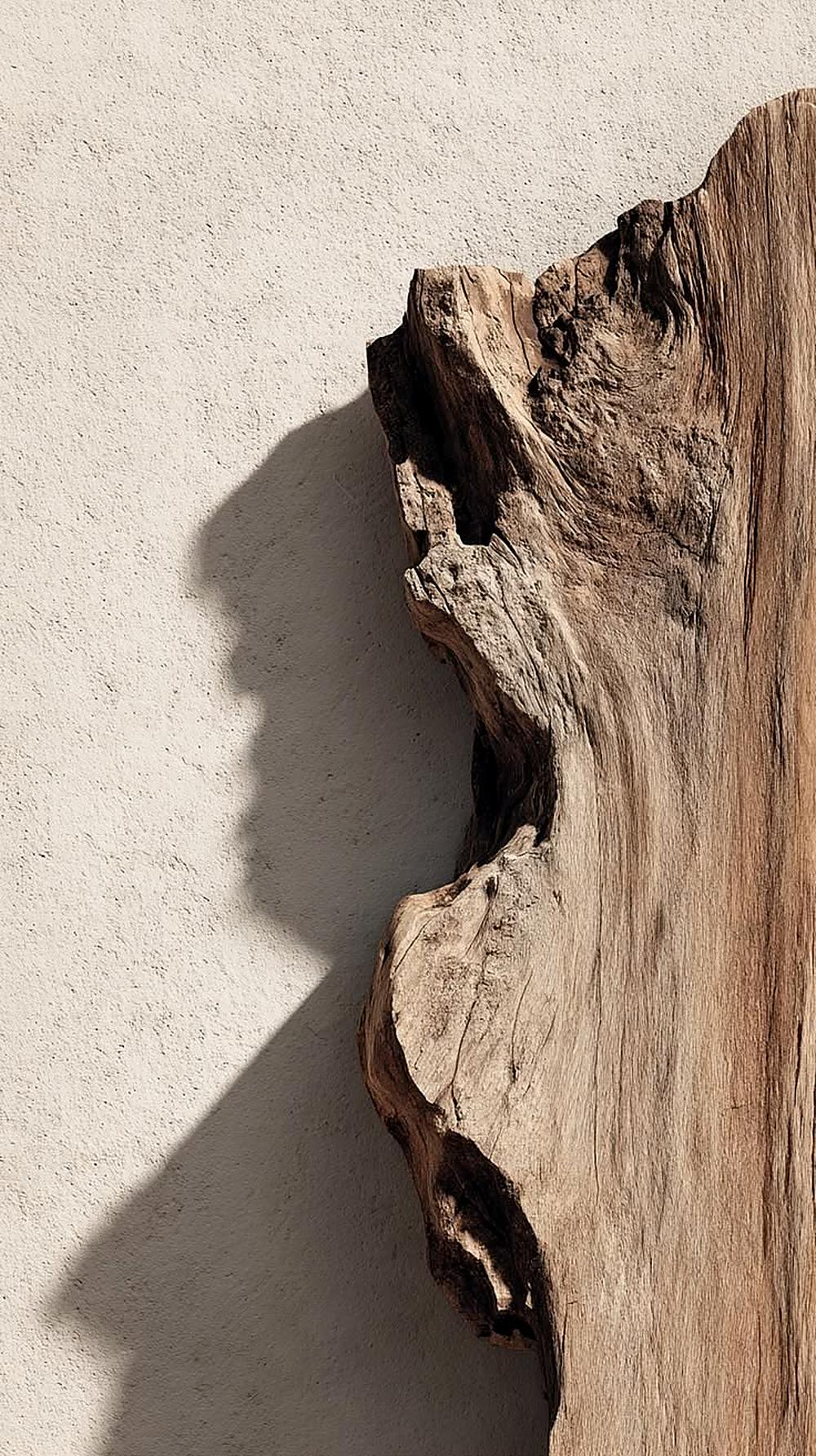 A weathered piece of cleared wood against a lime-plastered wall, throwing a long shadow in low afternoon light.